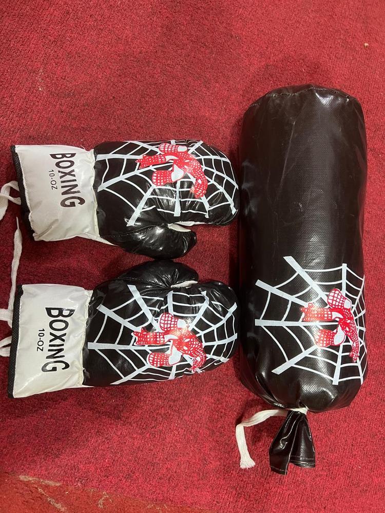 Boxing Gloves & Boxing Bag