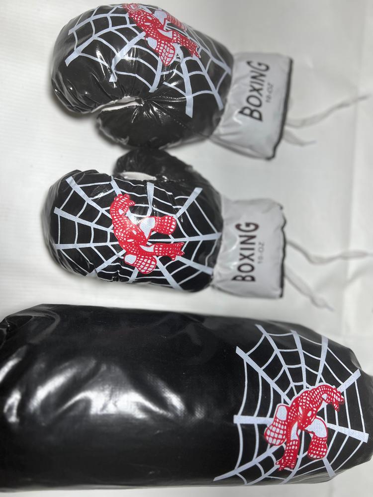 Boxing Gloves & Boxing Bag
